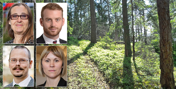 ”Den borgerliga oppositionen har gått vilse i skogsdebatten”