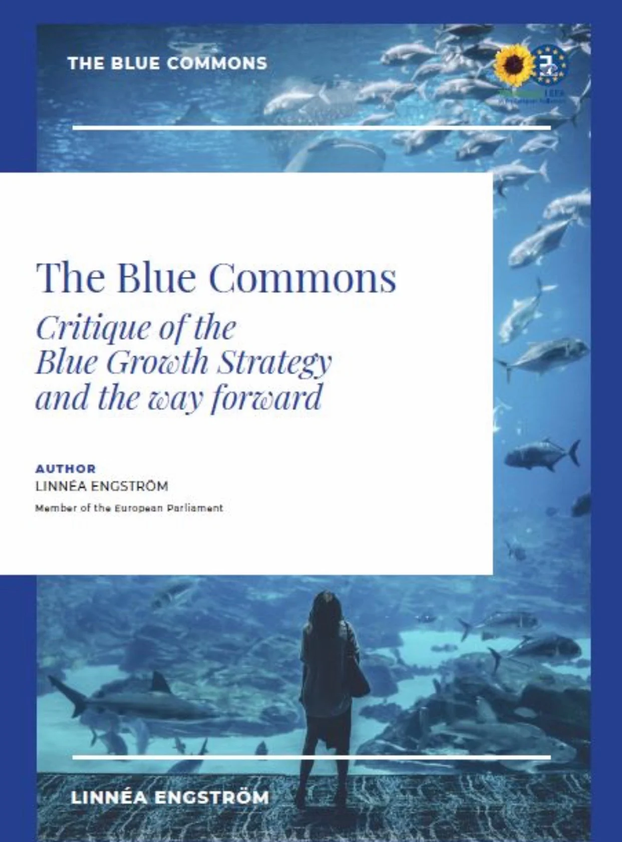 Ny rapport: "The Blue Commons"