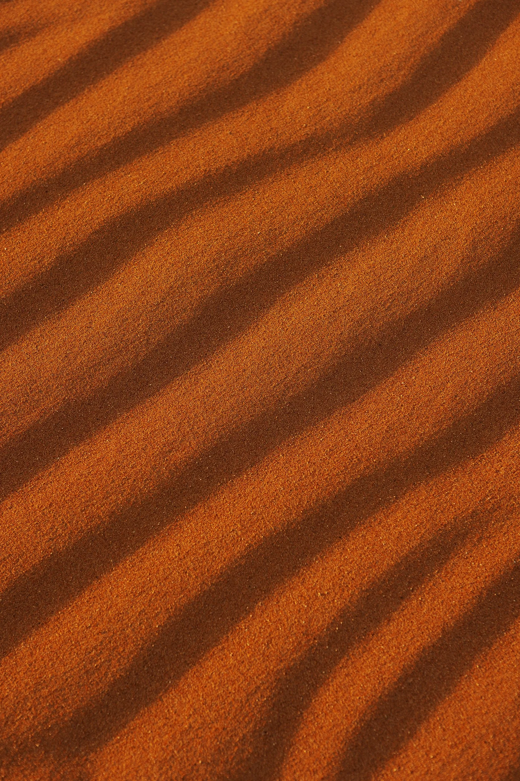 DG9A5791.jpg