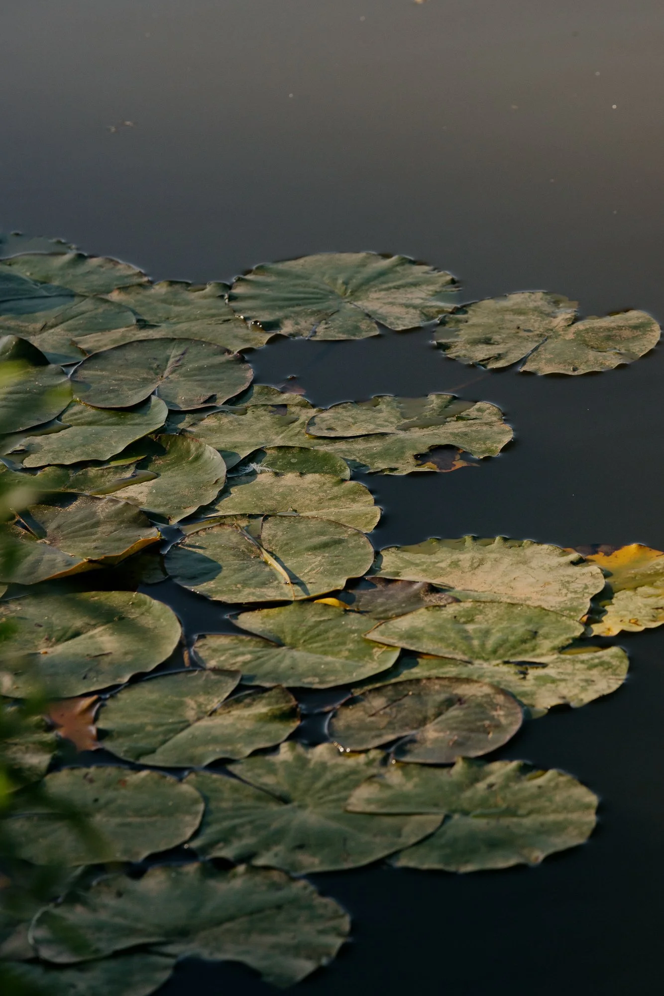 untitled-0458.jpg