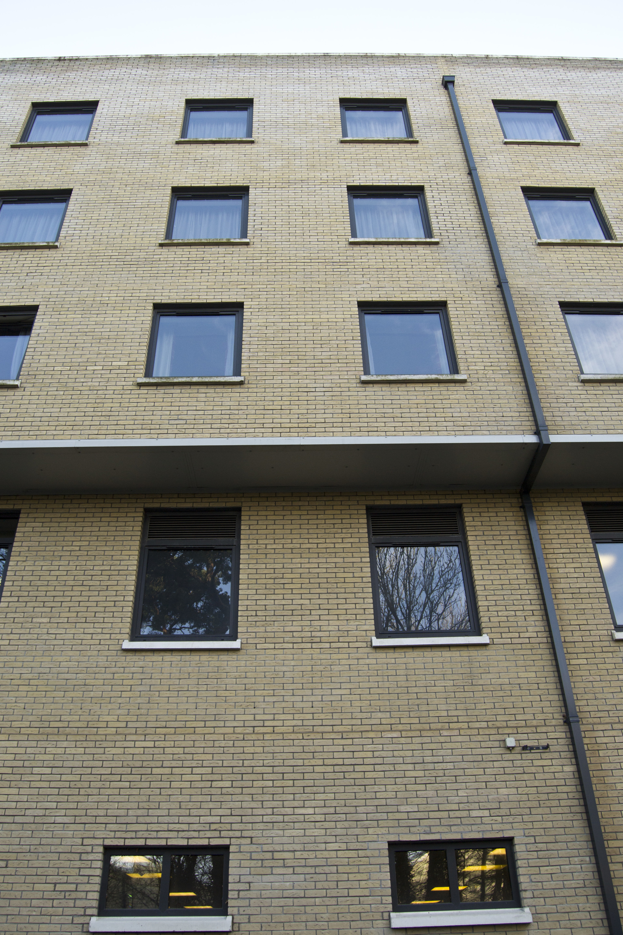 Rear Facade