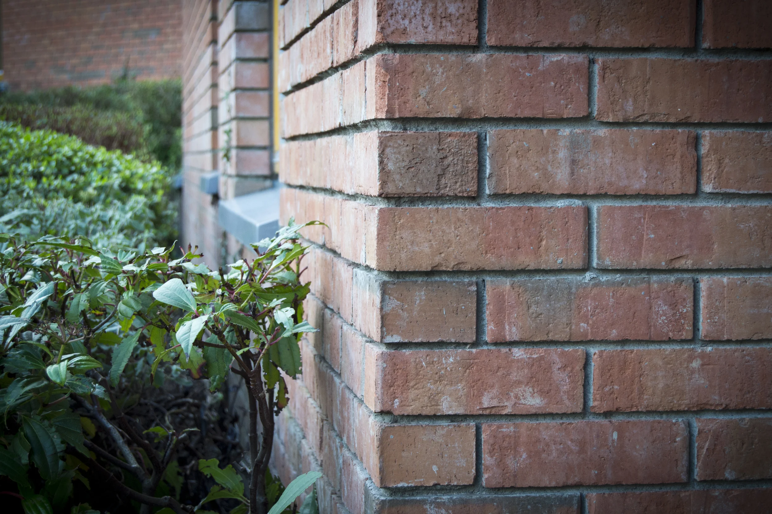 Townhouse Brickwork