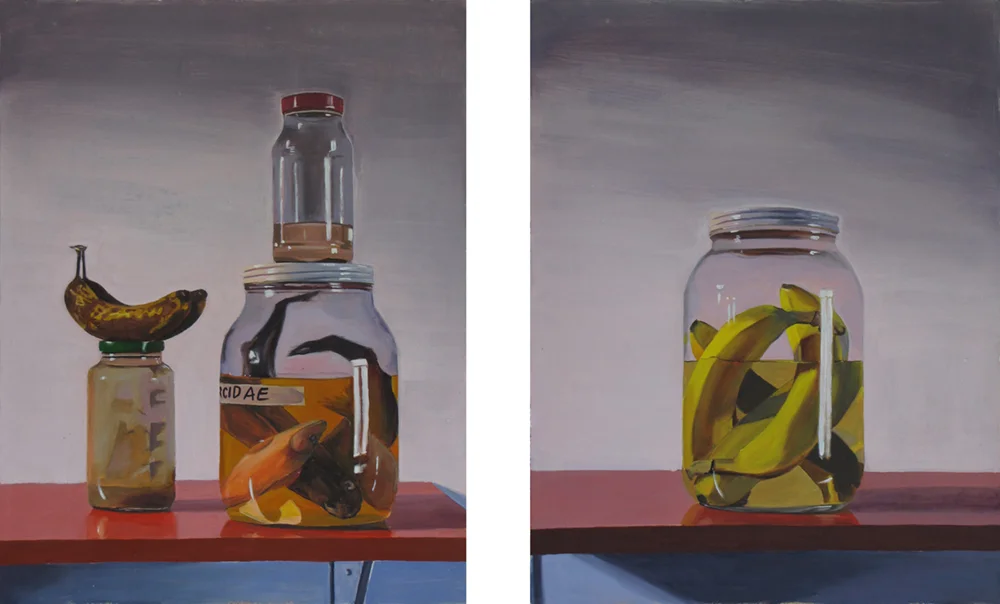 Banana Preservation Study Oil on paper