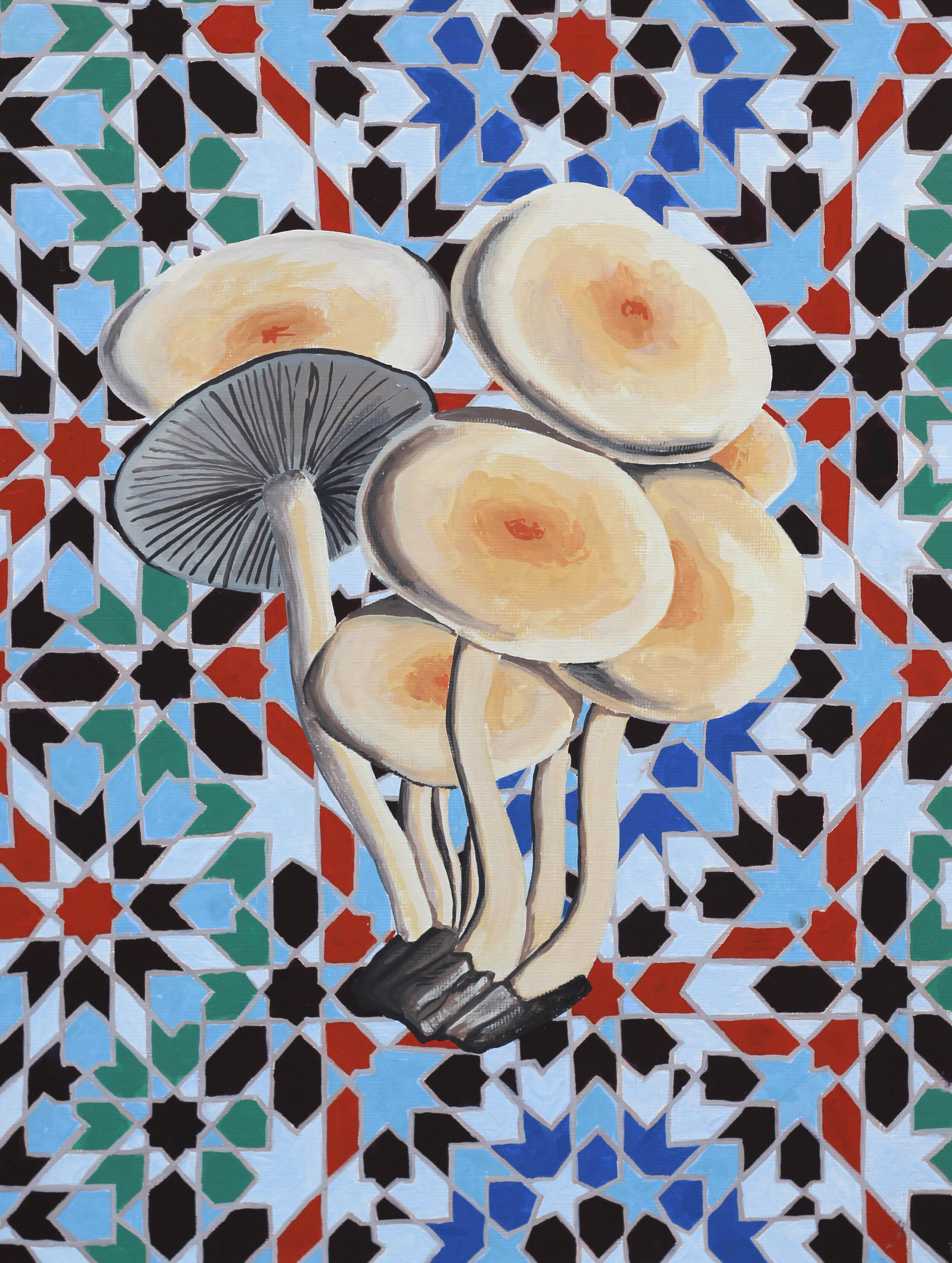   Mushrooms &amp; Tiles Pinch  10”x13” Gouache on paper 