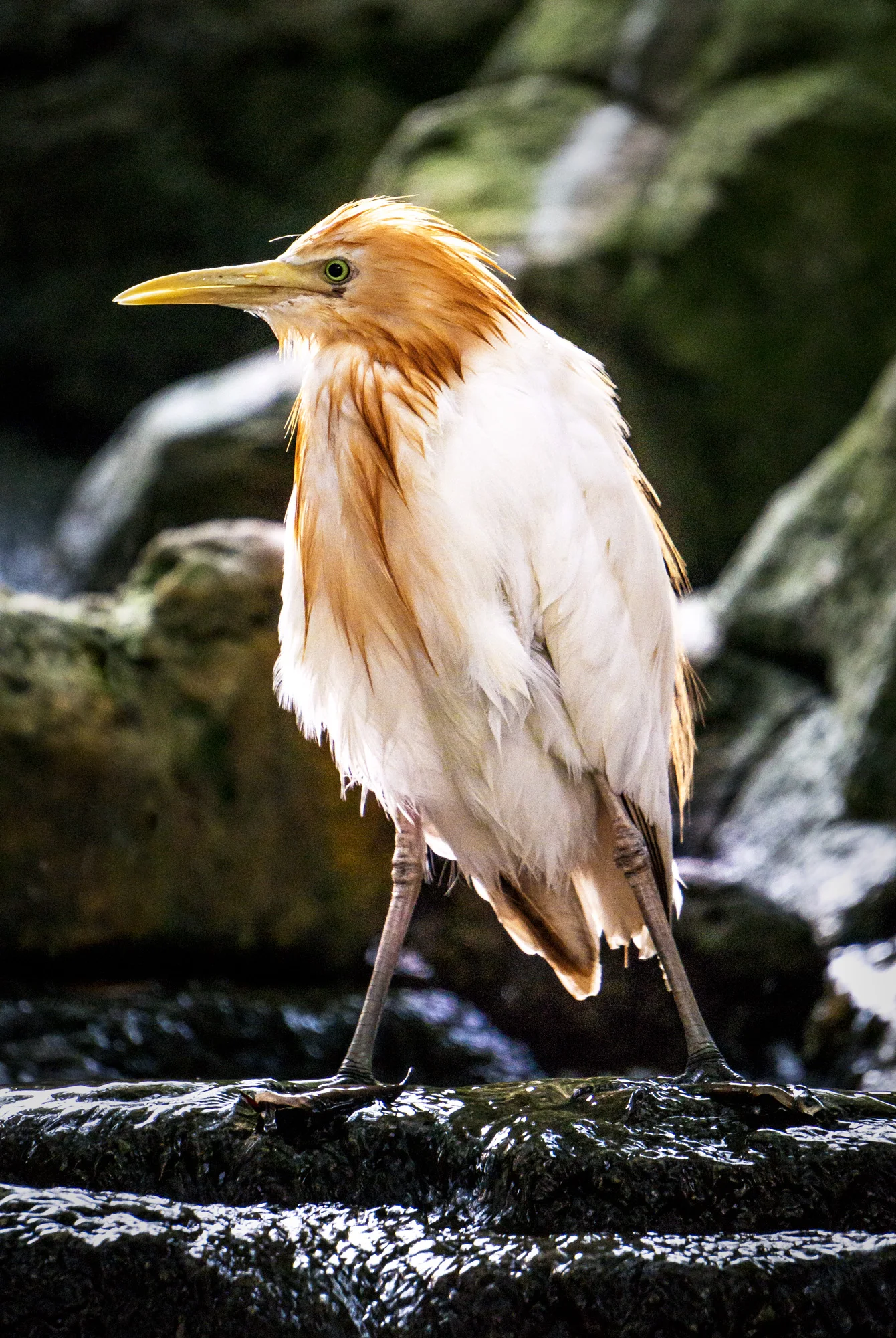 Malaysia