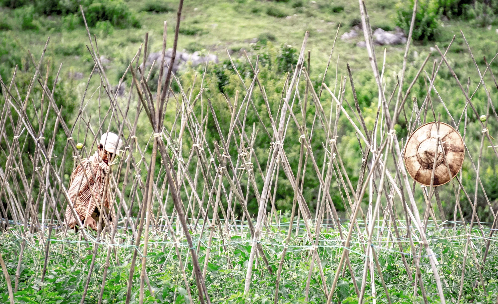 Myanmar - Fieldwork