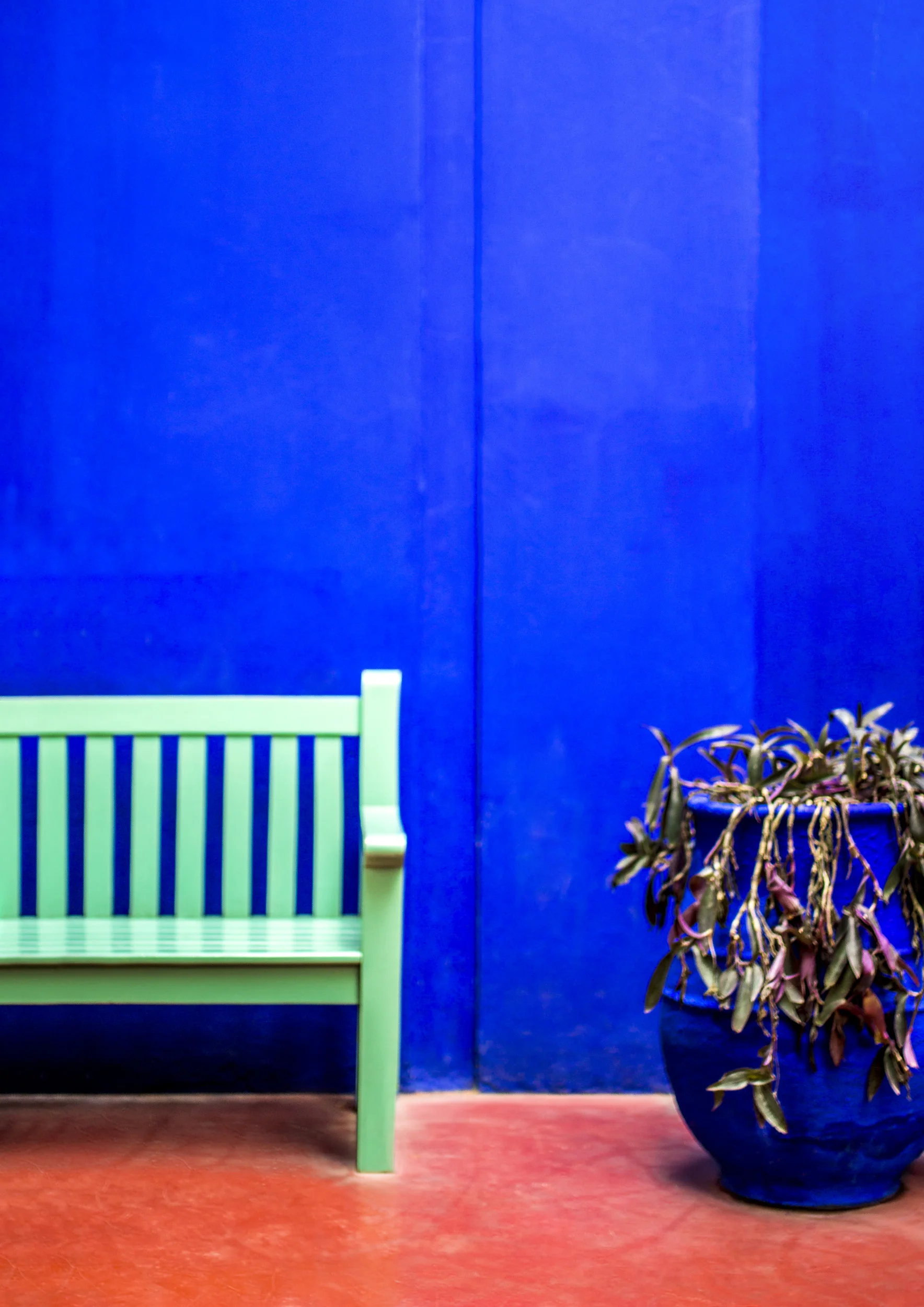 Marokko - Marrakesh - Jardin Yves Saint Laurent