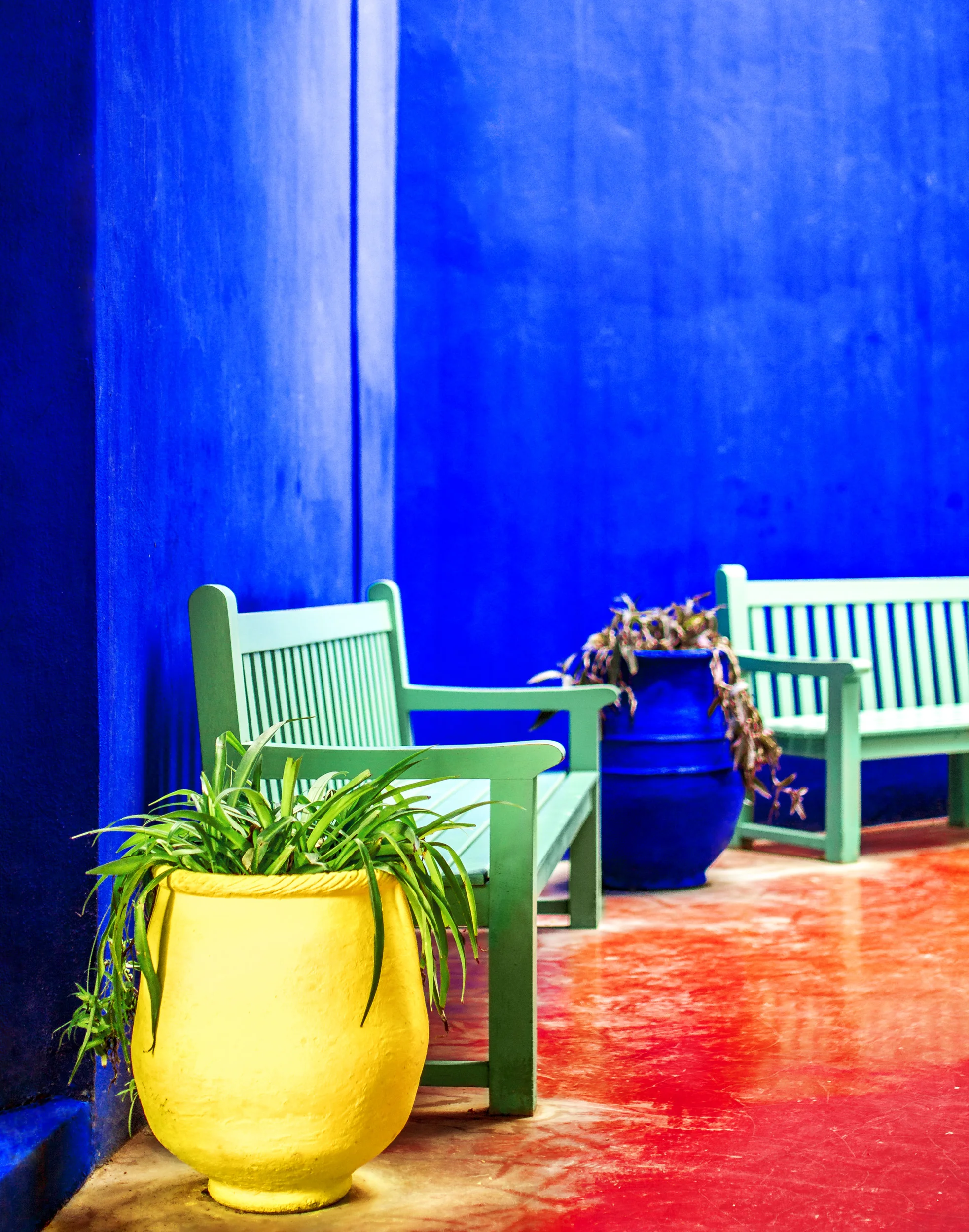 Marokko - Marrakesh - Jardin Yves Saint Laurent