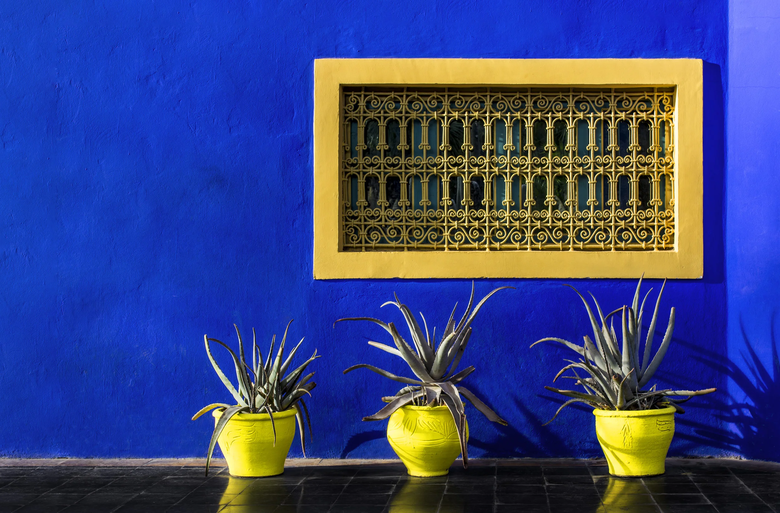 Marokko - Marrakesh - Jardin Yves Saint Laurent