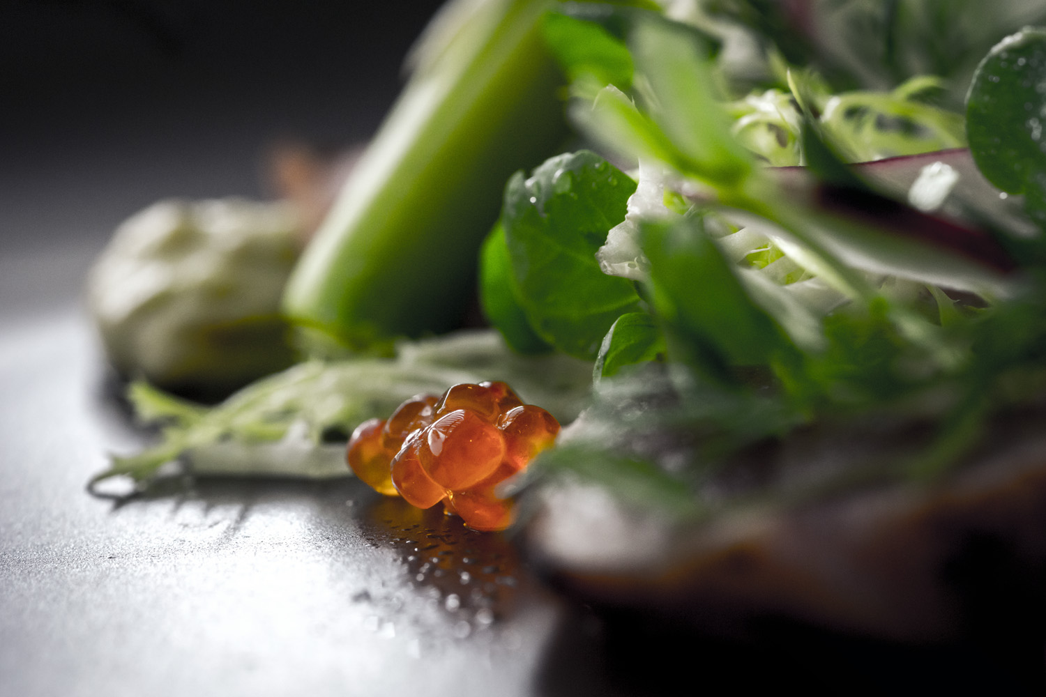 DSC07105.jpg