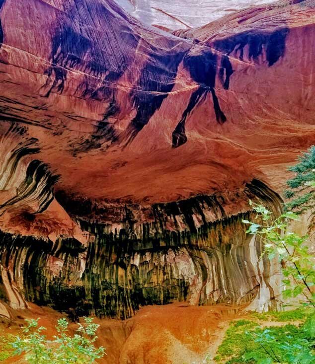 Taylor Creek Hike Zion National Park