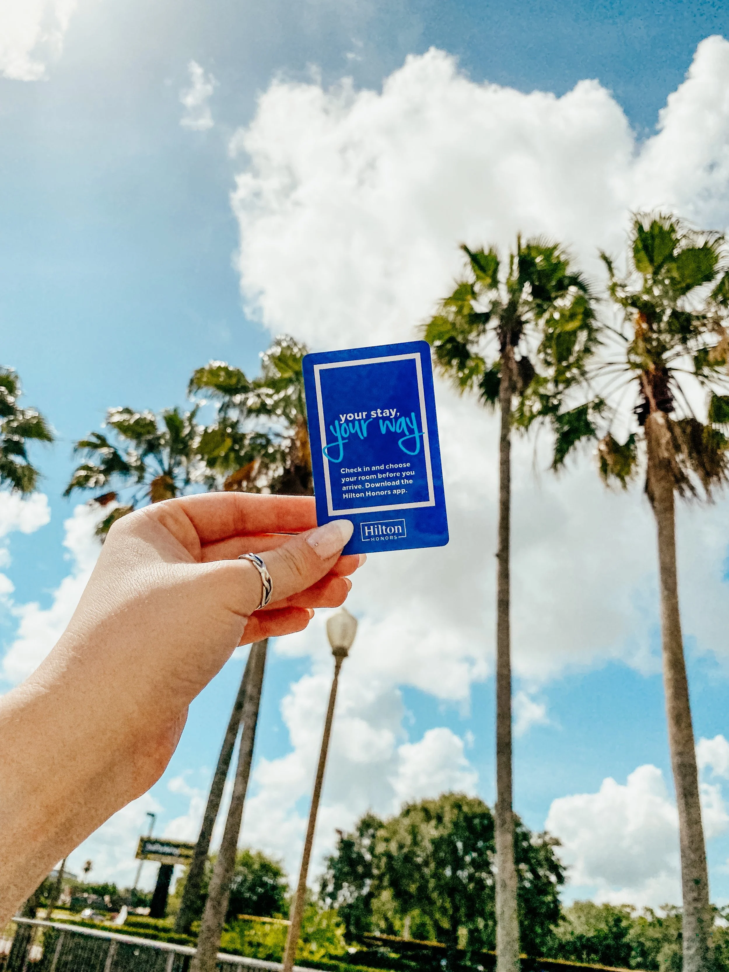 Copy of IMG_0862.jpg