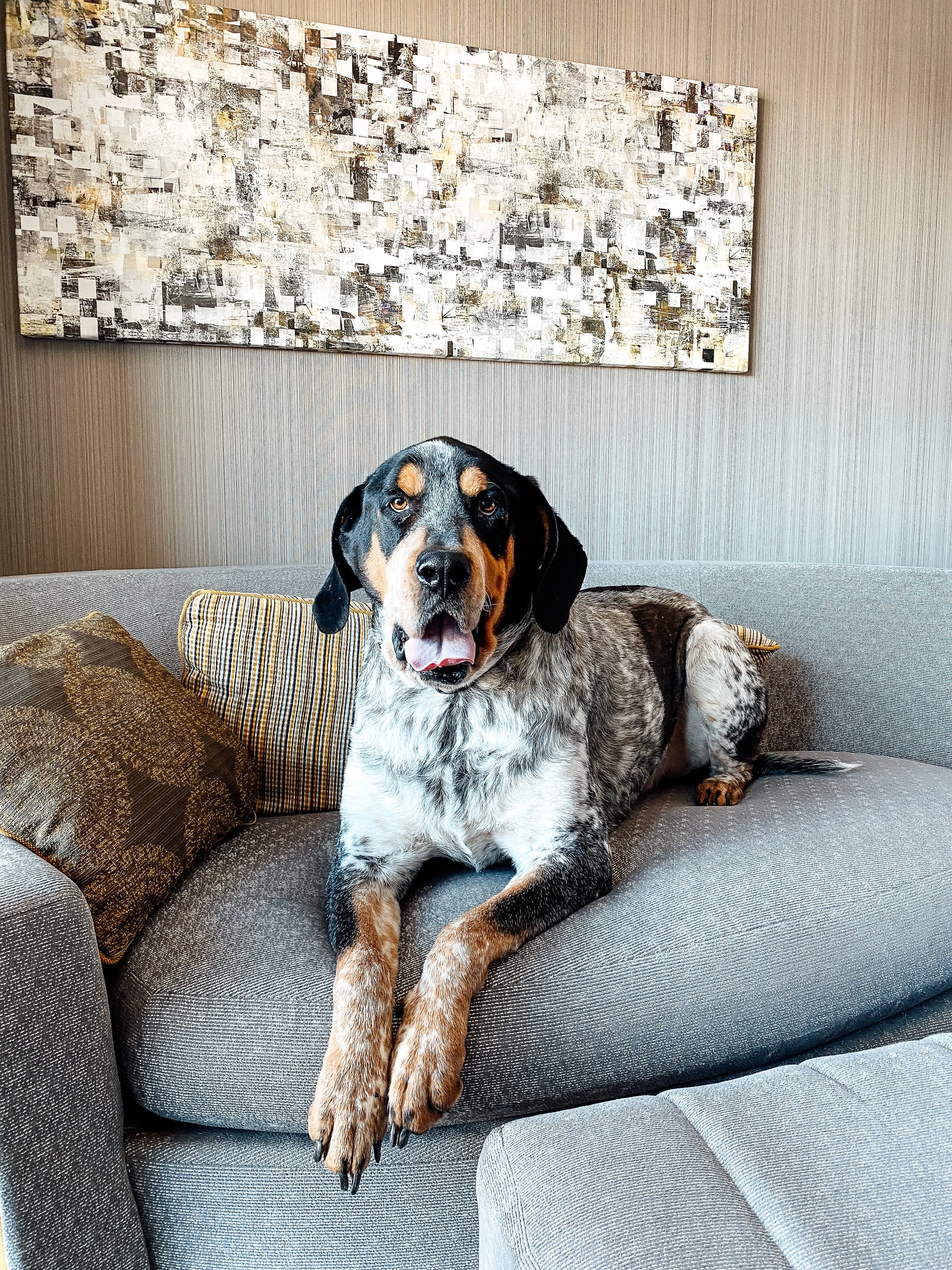 Copy of IMG_6616.jpg