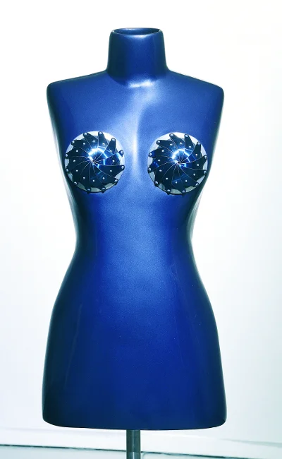  Iris, apertures closed. Image courtesy Lois Andison .&nbsp; 