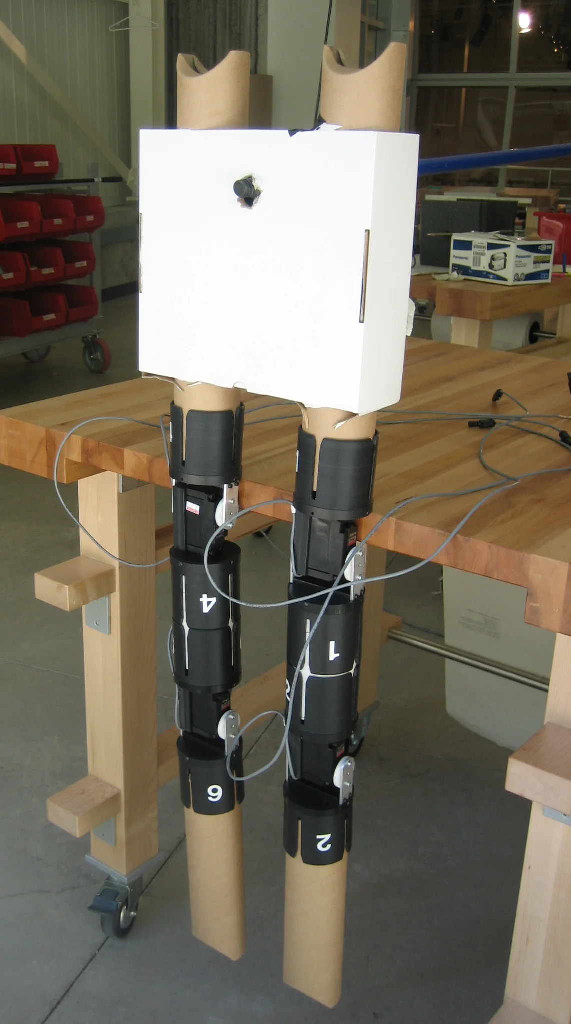  Human scale walking robot legs made from three inch diameter card board mailing tube. Prototype for robotic joints guided workshop.  