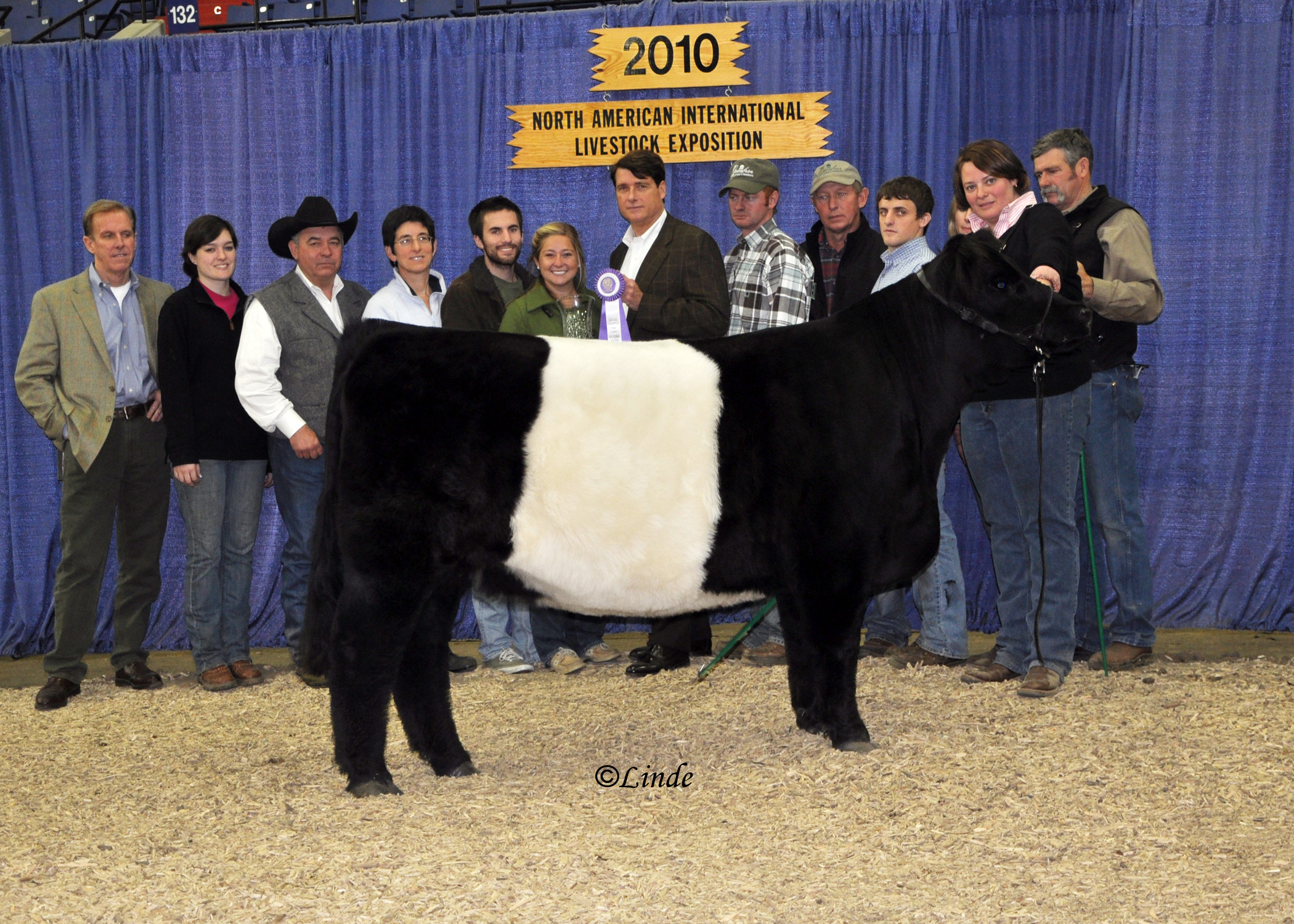 MEADOWOOD Ursa - 2010 NAtional Champion Female SIRE: Southdown Revenue 13R DAM: Enniscorthy Katrina 151K