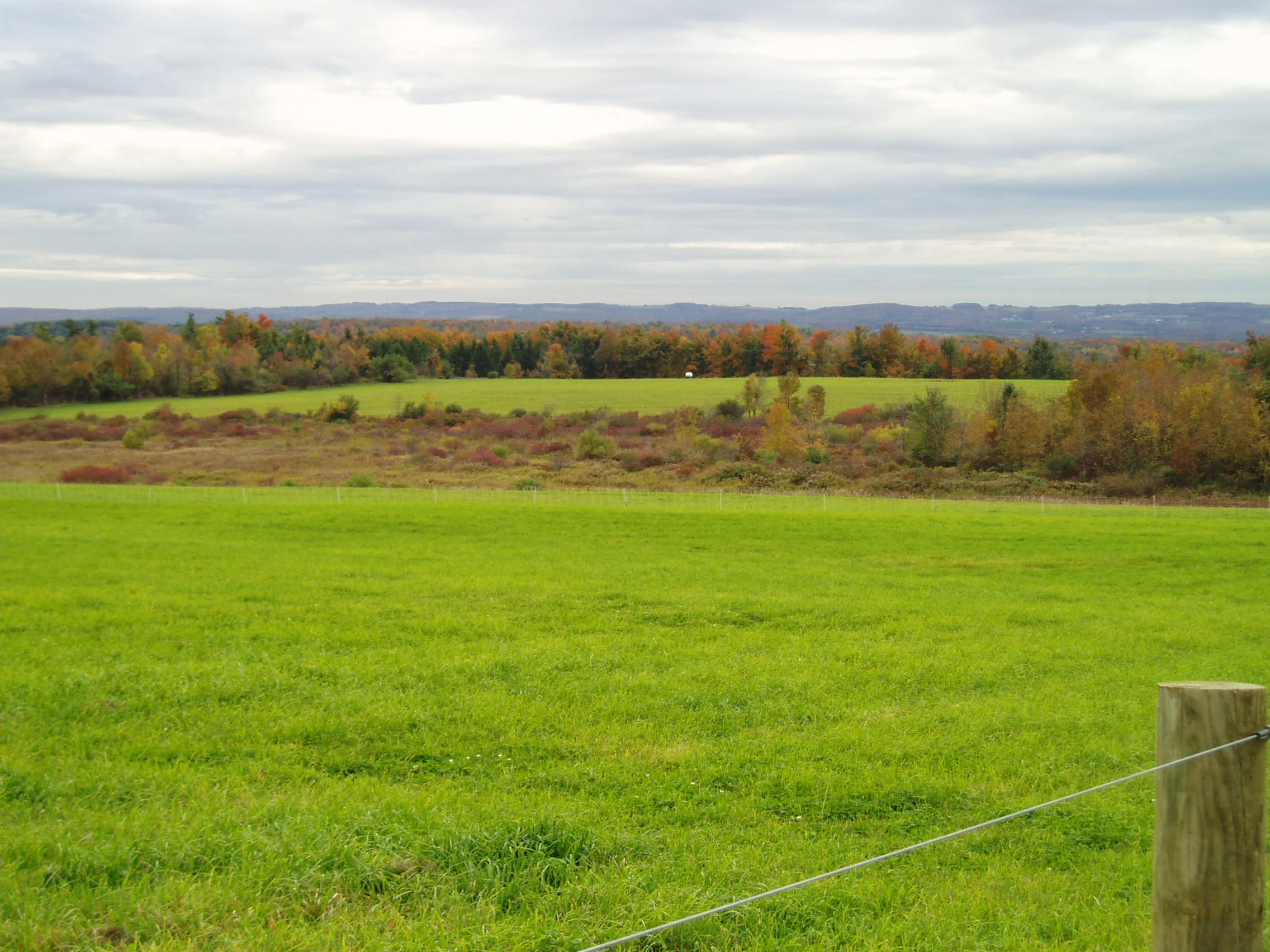 PA140591.JPG