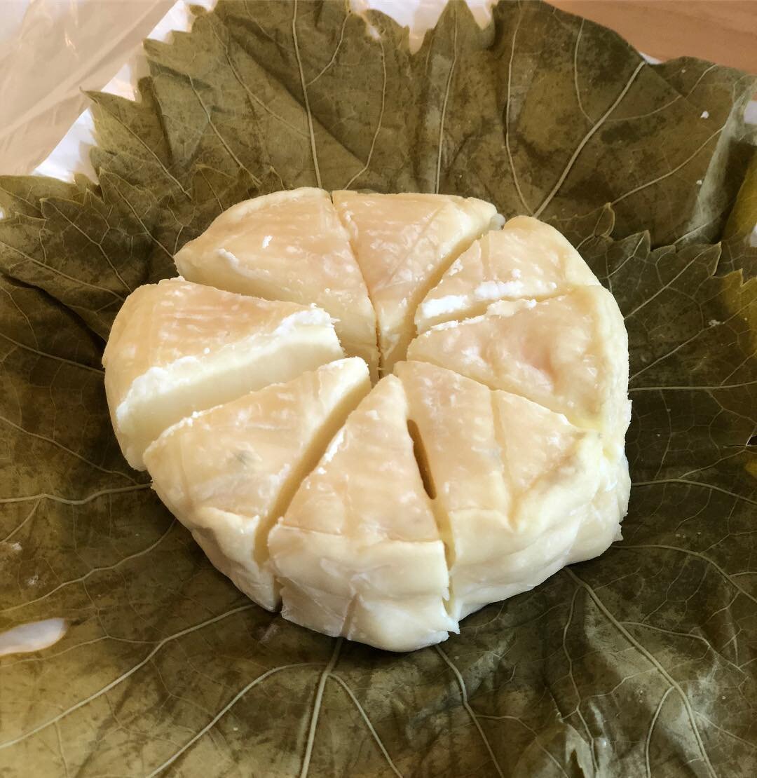 Ledyard, sheep cheese.jpg