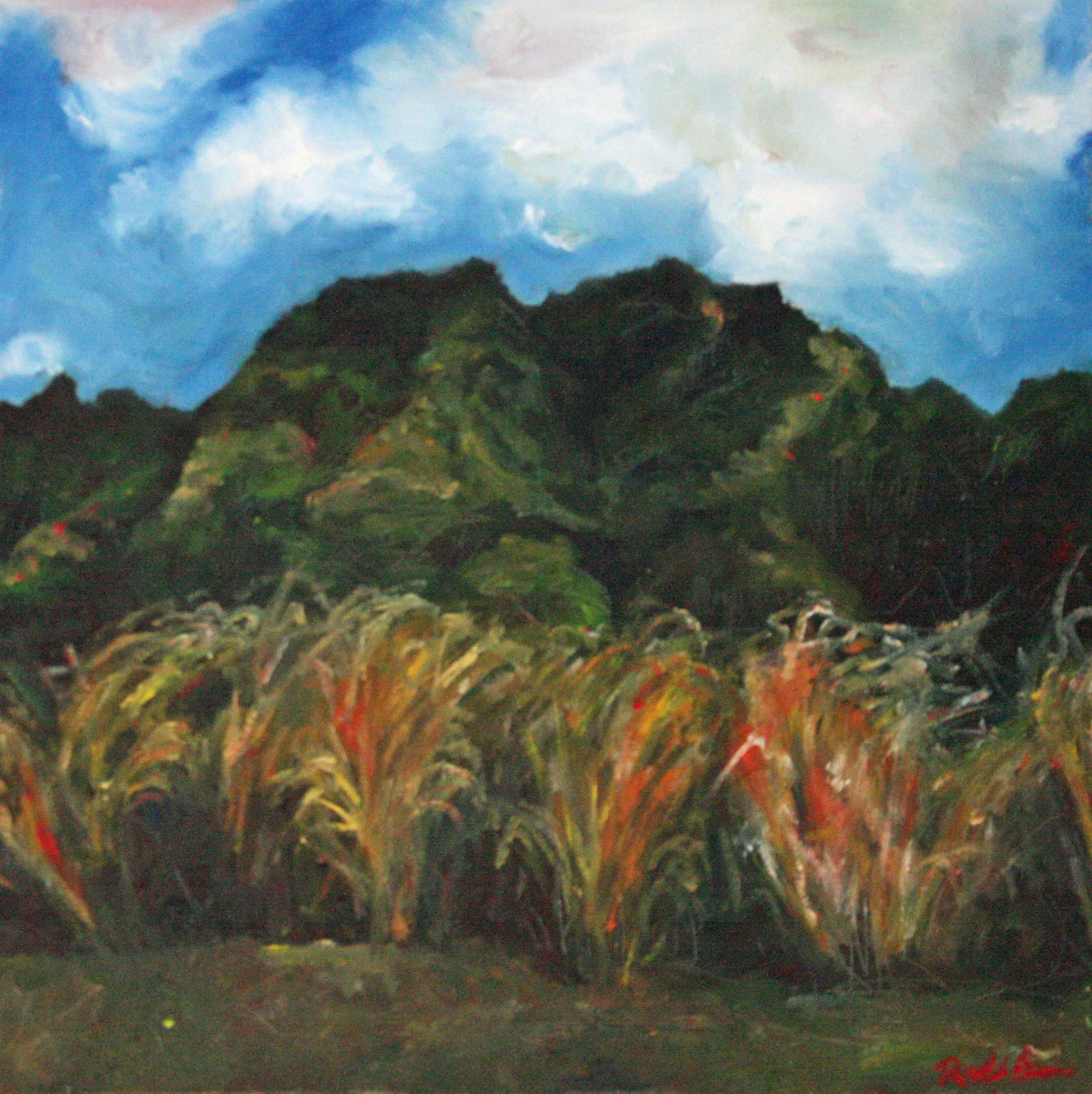 landscape_kauaiMt.jpg