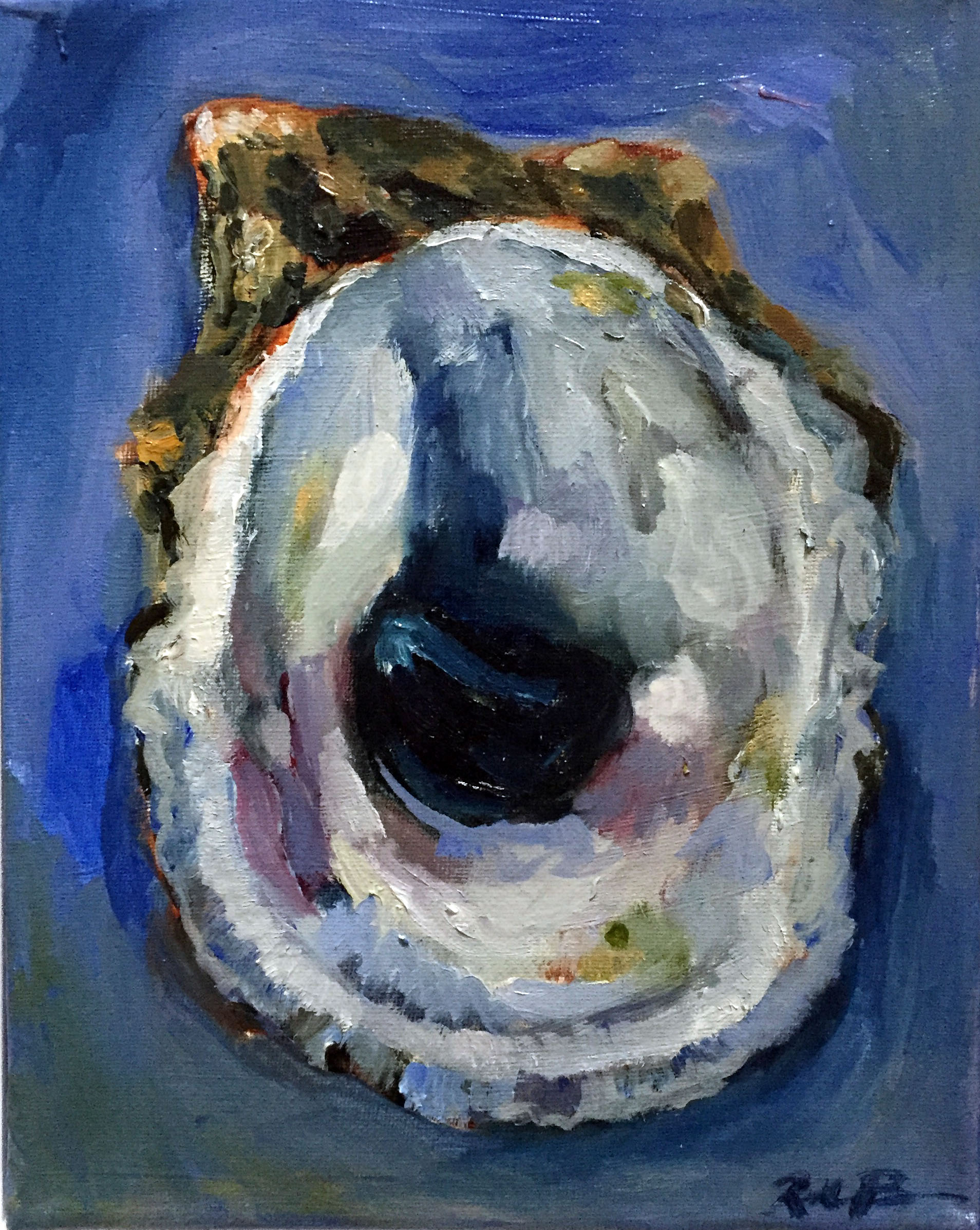 cold water shell, two