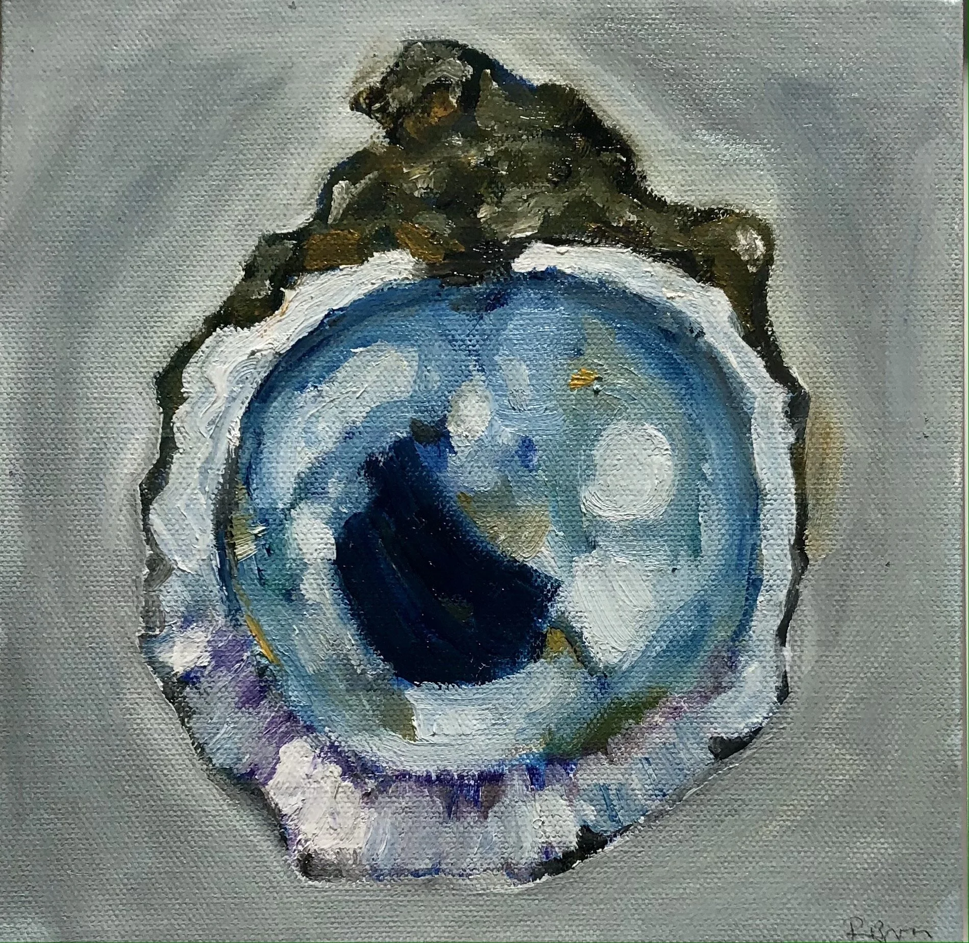winter shell, two
