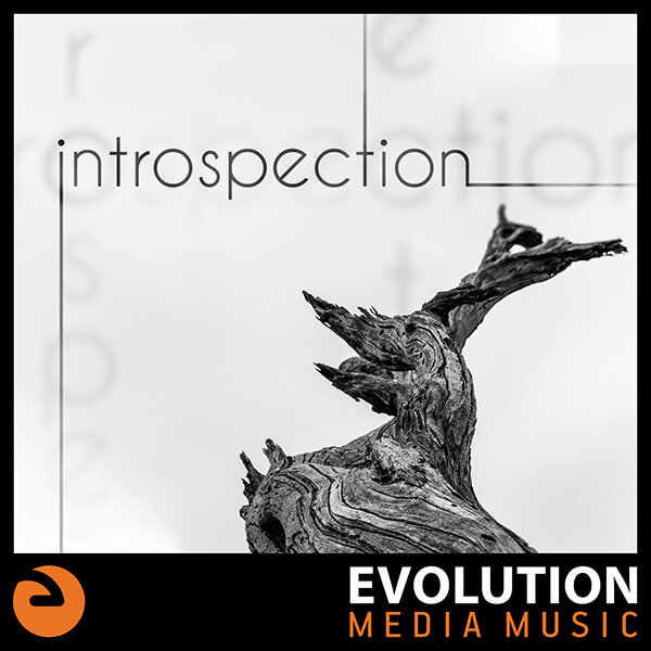 EMM346-introspection_600.jpg