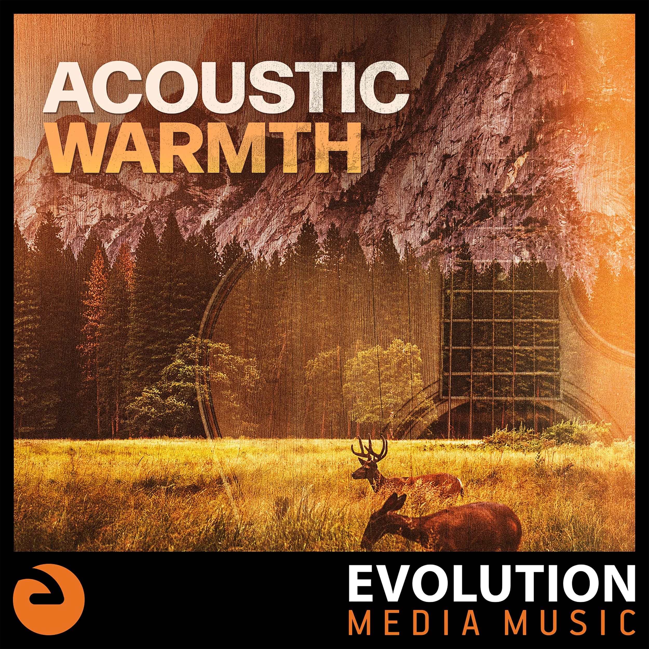 Evo_AcousticWarth_Karlheasman_4000.jpg