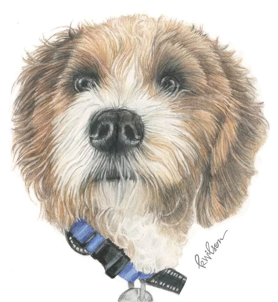 Teddy-art.jpg