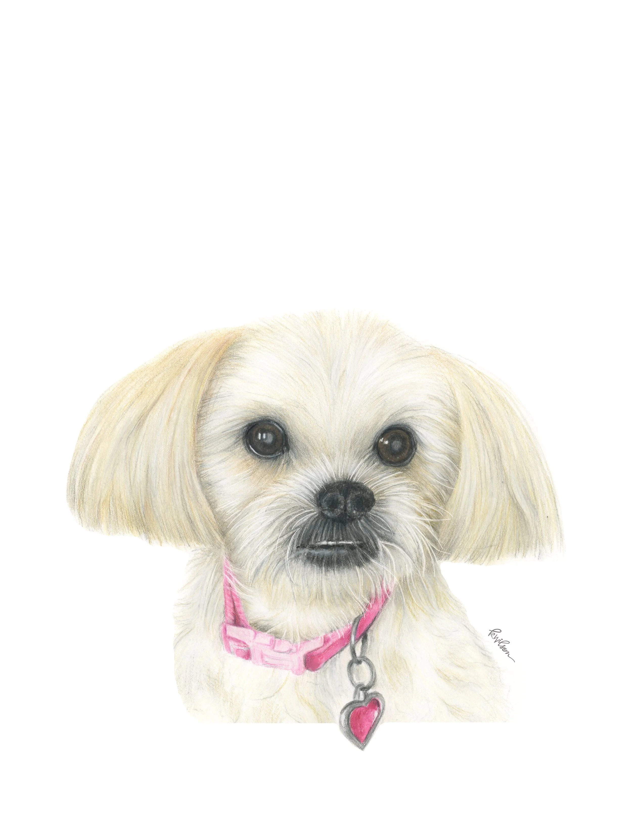 Emmy-Lou-2022.jpg