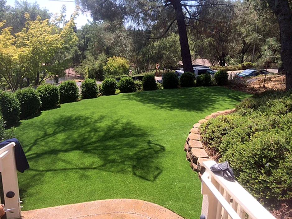 Artificial_Grass_Westwood.jpg