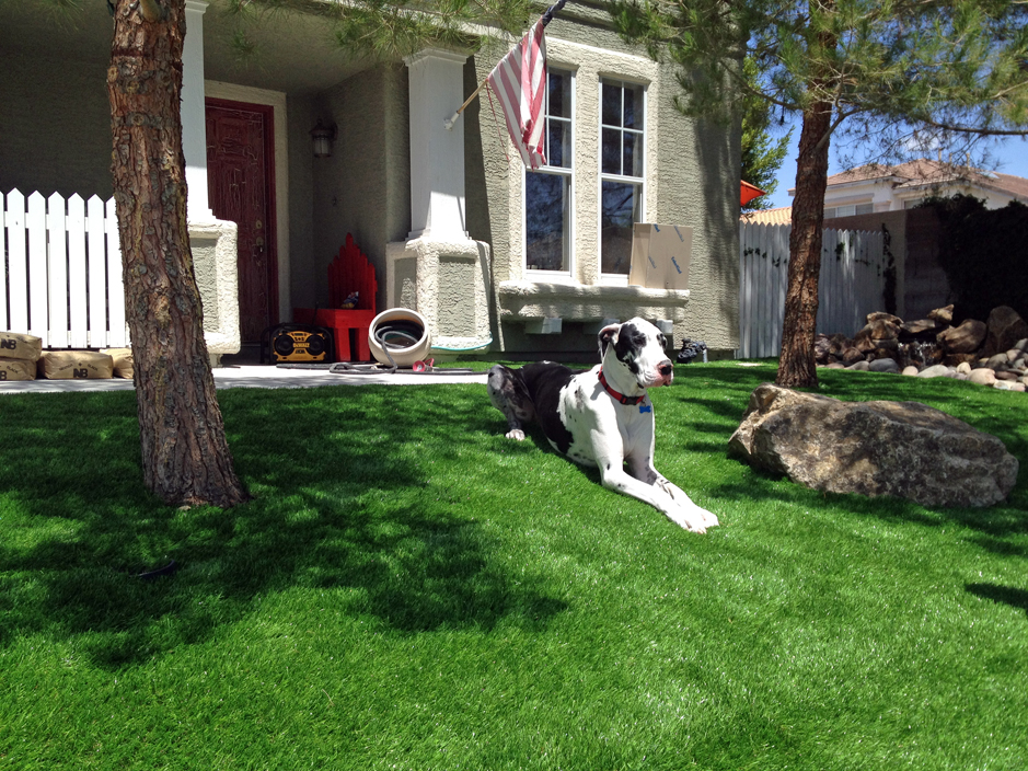 Pet_Artificial_Grass.jpg