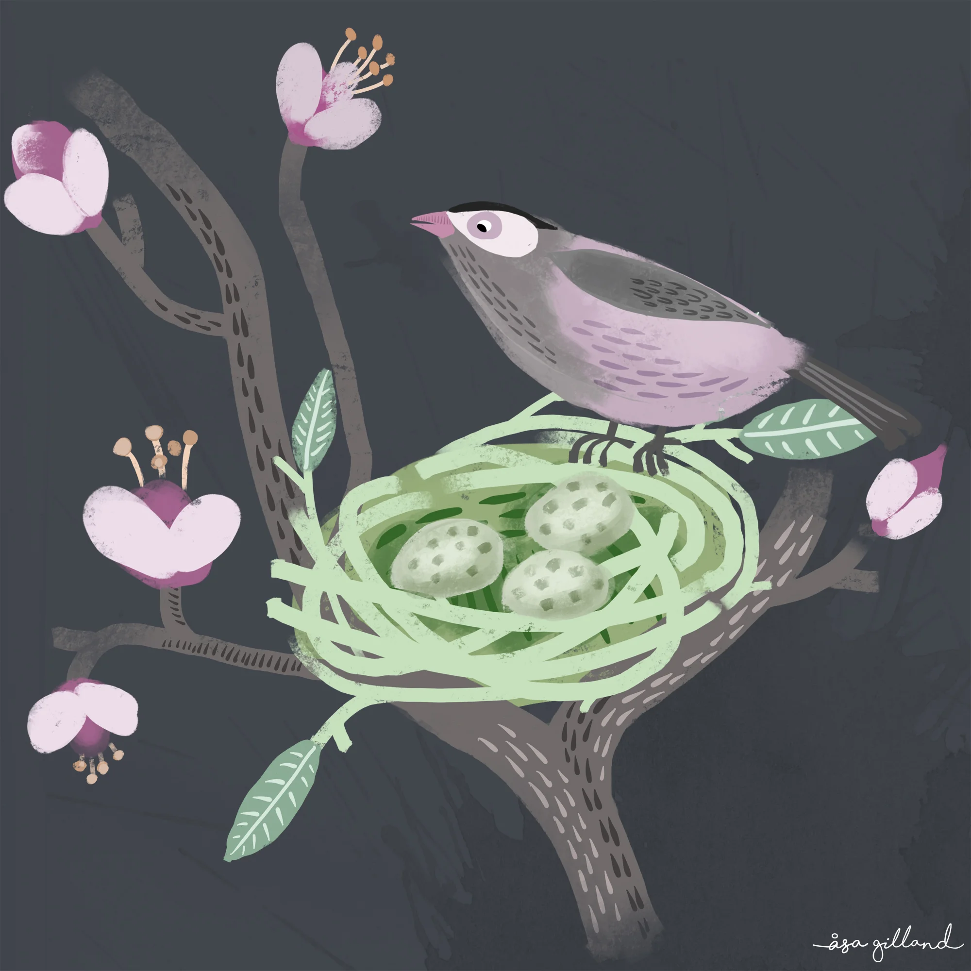 Bird nest