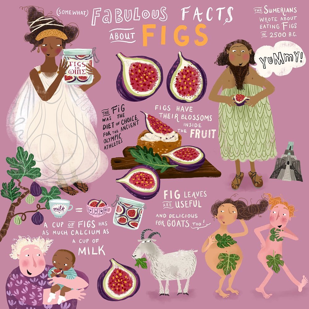 All about figs! A piece for this year&rsquo;s #lillasmenagerie2021. #lillarogers #lillarogersstudio #childrenbookillustration #childrensbookart #kidlitart #childrenbook #illustration #foodillustrations #illustrator