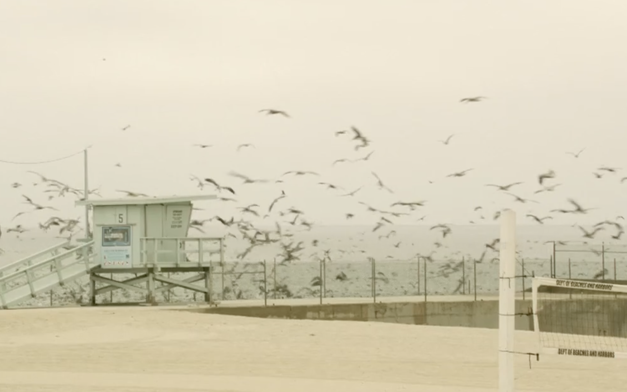 Screenshot 2026-03-22 at 4.46.51 PM.png