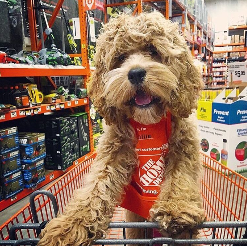 The Home Depot_Home.PNG