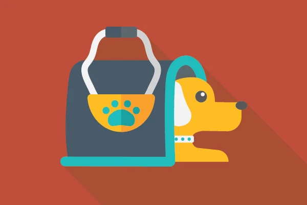 How dogs fly First Class: A guest post by Dante, Director of Canine Relations