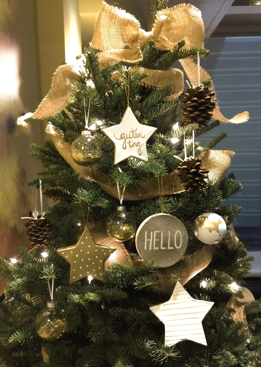 Cadence Turns Twenty: "Deck the Halls" for charity