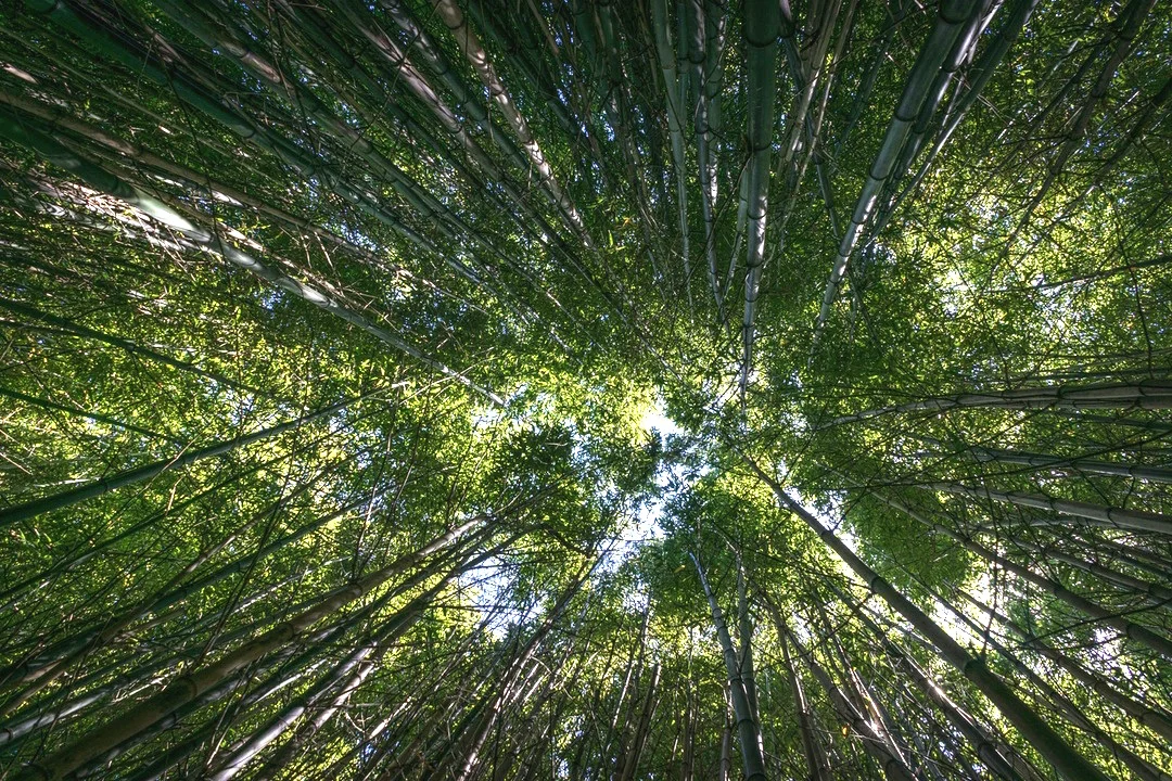 What Earth Day means to a global travel company