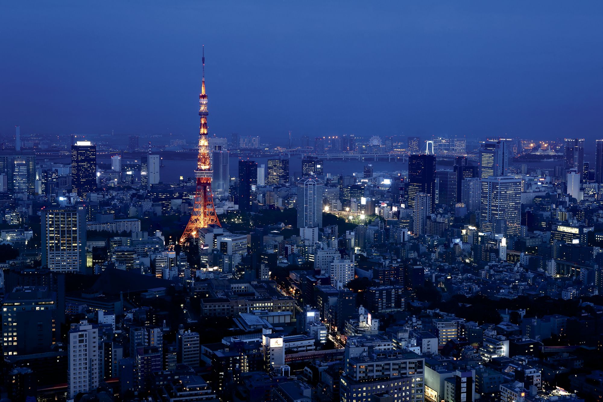 Ritz-Carlton Tokyo 1.jpeg