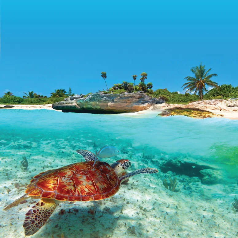 Daydream Alert! 2017 Summer Sailings in the Caribbean with Celebrity Cruises 