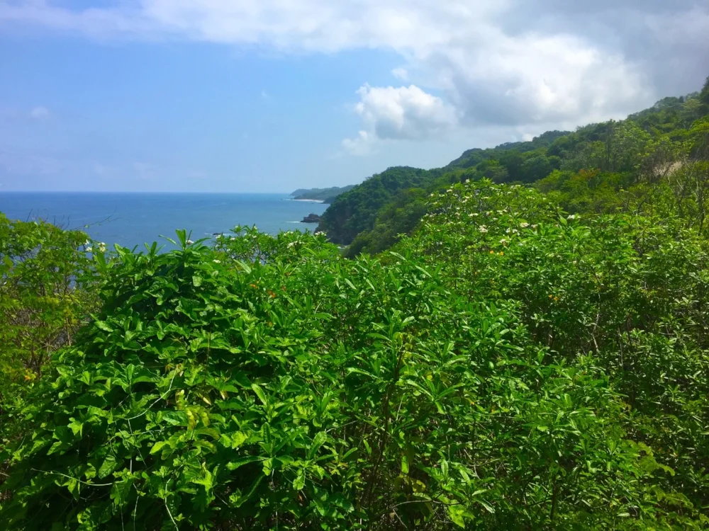 Destination Spotlight: Punta Mita, Mexico