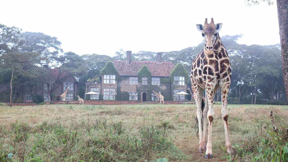 Giraffe Manor_03.jpg