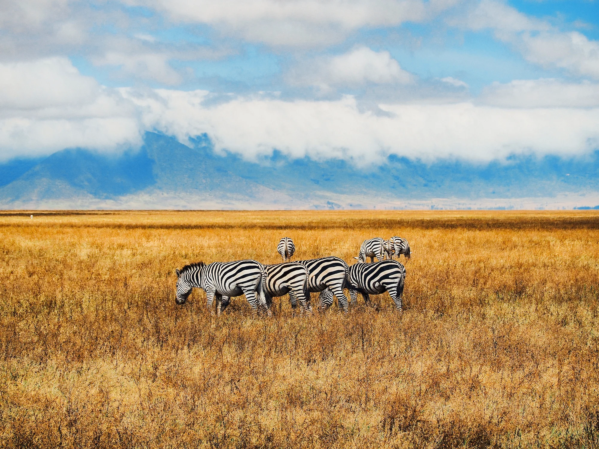 Uncover Africa’s wonders on a 2020 voyage with Azamara Club Cruises