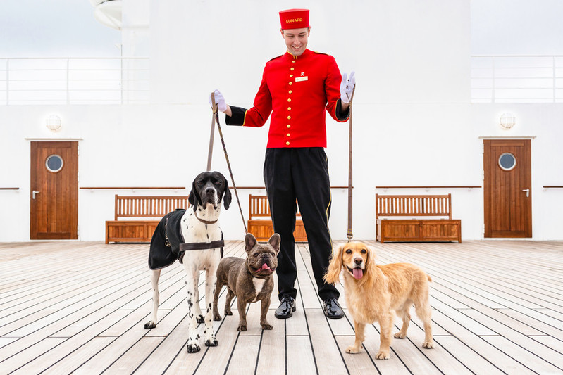 ISON_180819_Cunard_Kennels_v2_50651.jpg