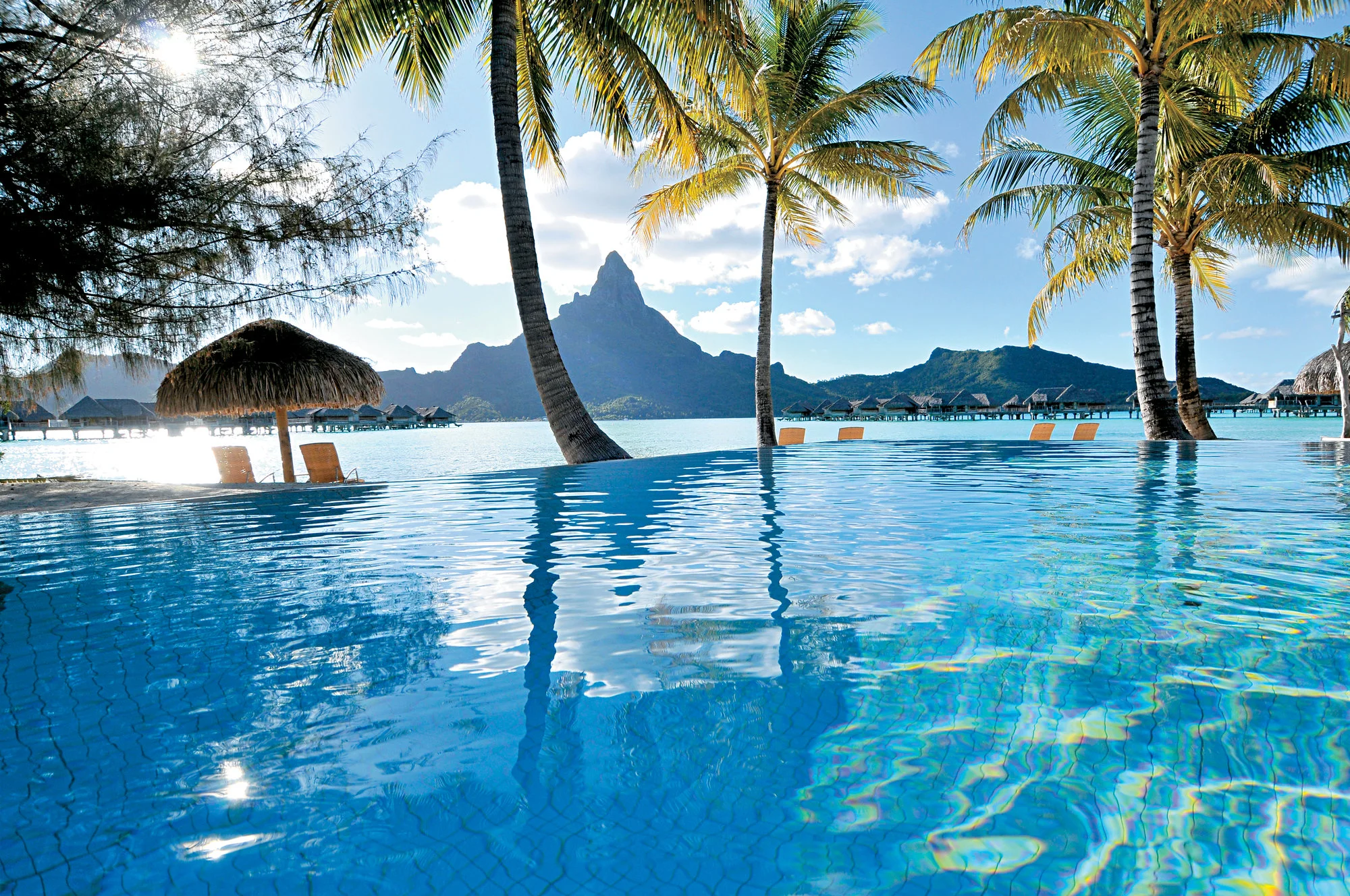icthalassobora_pool.jpg