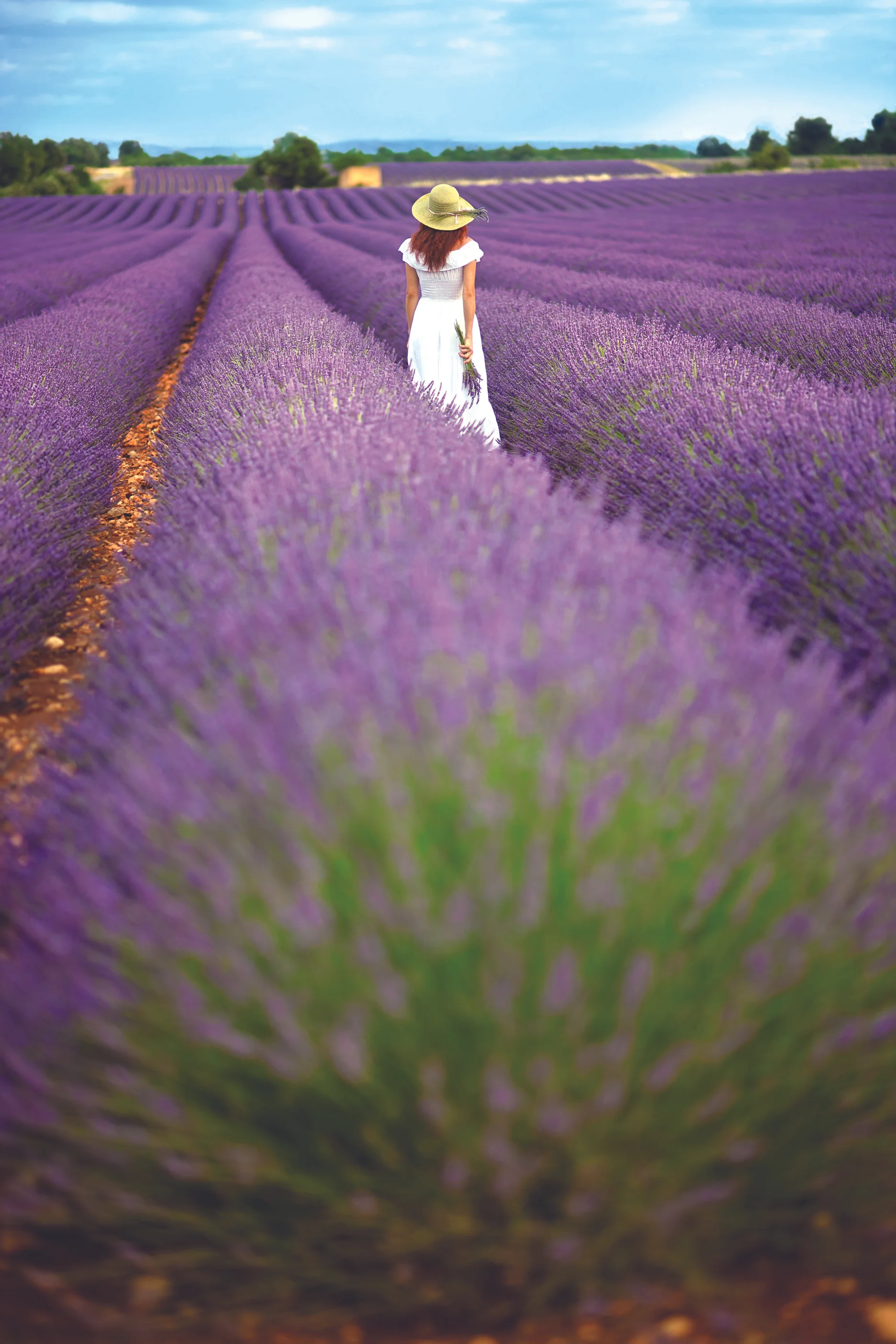 Provence .jpg