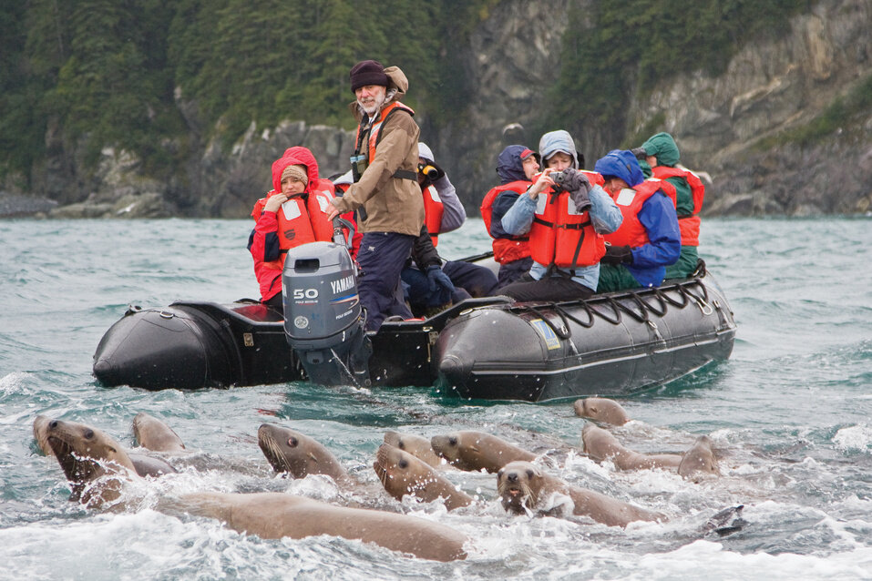 Expedition Cruising Seals.jpg