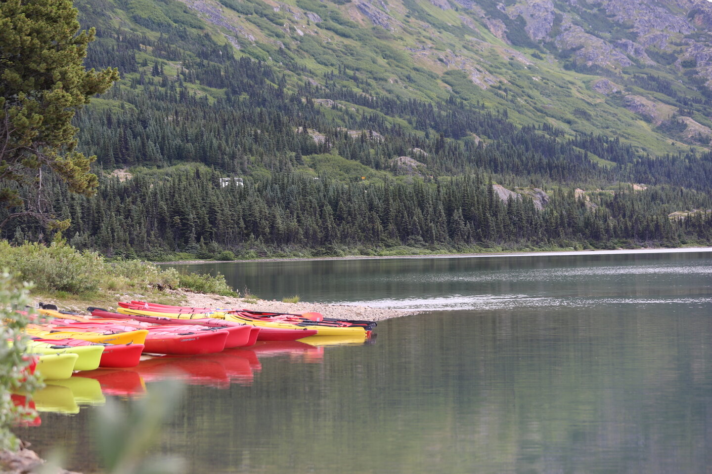 Alaska-Kayaks.jpg