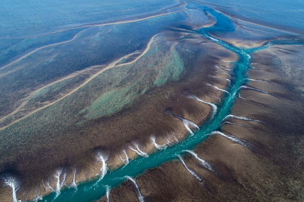 Aerial shot of Montgomery Reef.jpg