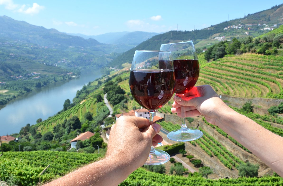 Douro-valley-portugal.jpg